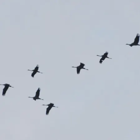 アパート Fewo-kramm Ostseebad